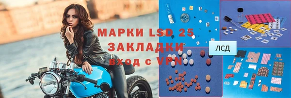 PSILOCYBIN Алзамай