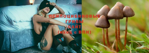 PSILOCYBIN Алзамай