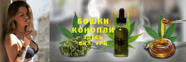 PSILOCYBIN Алзамай