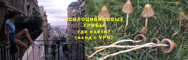 PSILOCYBIN Алзамай