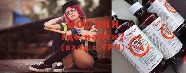 гашик Коряжма