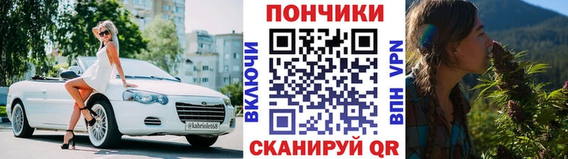 сколько стоит  Енисейск  Бошки марихуана гибрид 